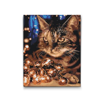 Painting_by_Numbers_Cat_with_fairy_lights_M2
