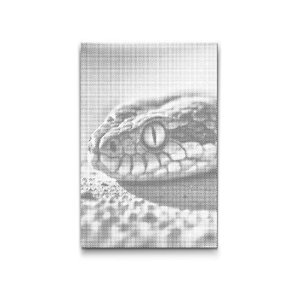 Dotting_Points_Snake_eye_M2