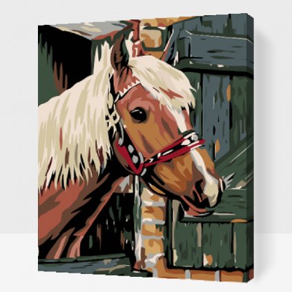 Paint by Number - Horse in a Stable