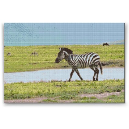 Diamond Painting - Serengeti National Park 2