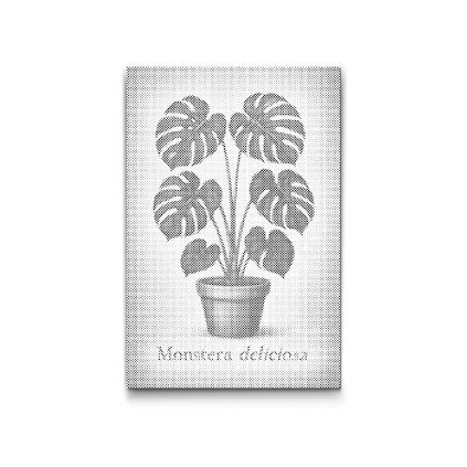 Dotting_Points_Monstera_deliciosa_M2