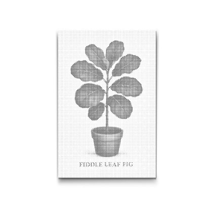 Dotting_Points_Fiddle_Leaf_Fig_M2