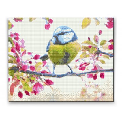 Diamond Painting - Birdie