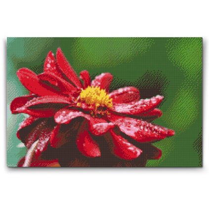 Diamond_Paintings_Red_Dahlia_2_M2