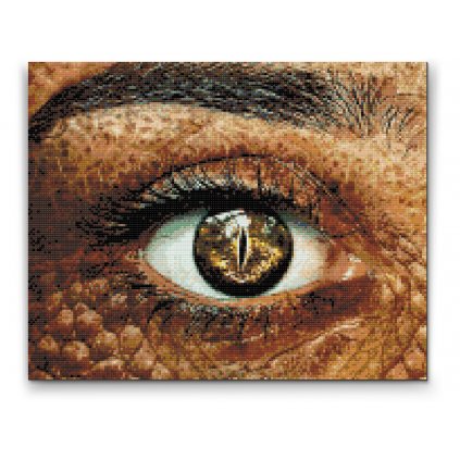 Diamond Painting - Crocodile Eye