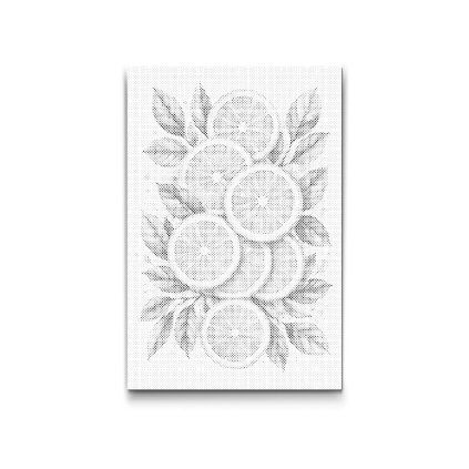 Dotting_Points_Cut_lemons_M2