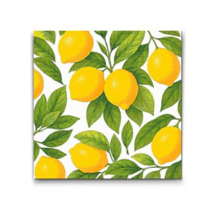 Diamond_Paintings_Lemons_on_background_M2