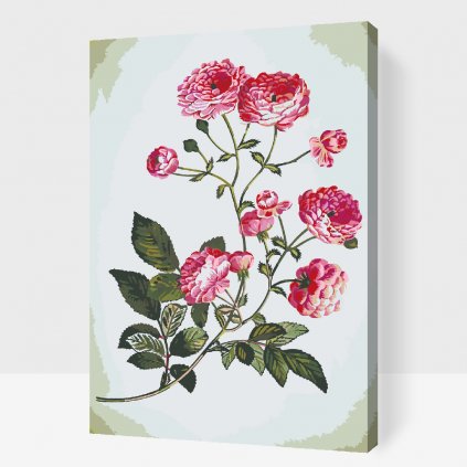 Paint by Number - Vintage Flowers 2