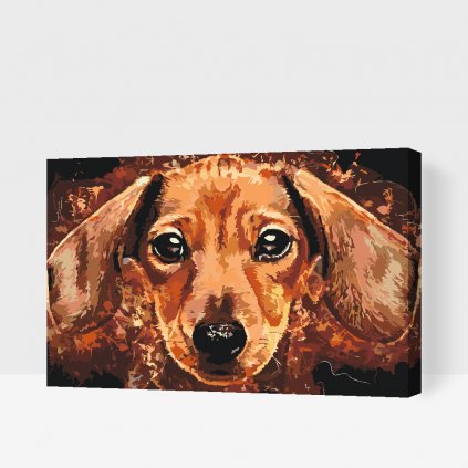 Paint by Number - Dachshund head