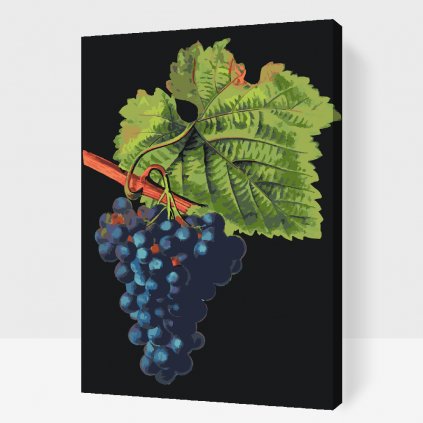 Paint by Number - Vintage Grapes