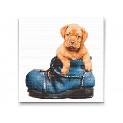 Diamond Painting - Puppy in a Shoe