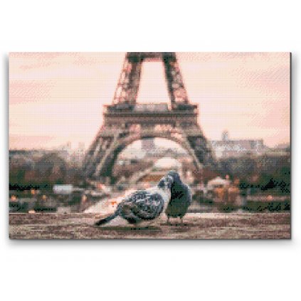 Diamond Painting - Pigeons in Paris