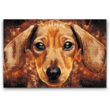 Diamond Painting - Dachshund head