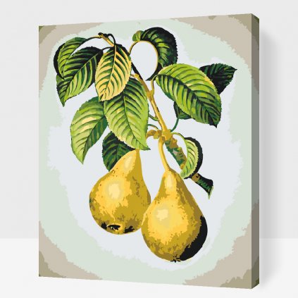 Paint by Number - Ripe Pears