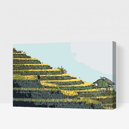 Paint by Number - Rice Terraces