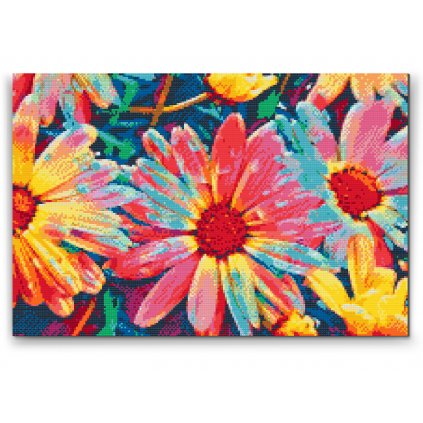 Diamond Painting - Colorful Asters