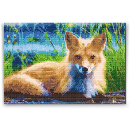 Diamond Painting - Fox