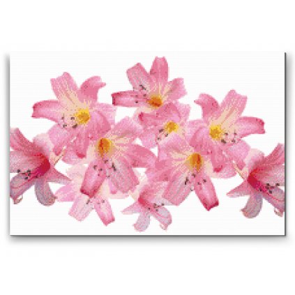 Diamond Painting - Pink Lilies 2