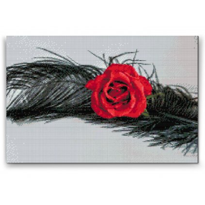 Diamond Painting - Rose in a Feather