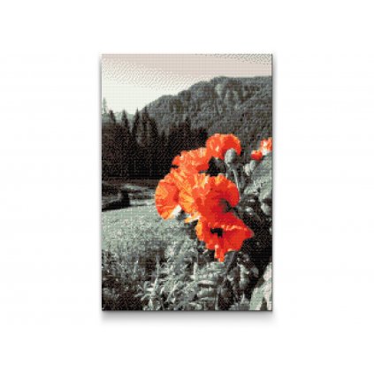 Diamond Painting - Poppy in the Mountains