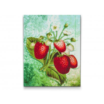 Diamond Painting - Strawberry Season