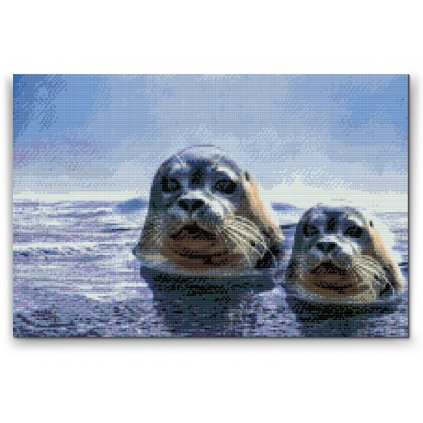 Diamond Painting - Seals on the Hunt