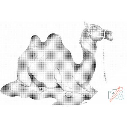 Dotting points - Cartoon Camel