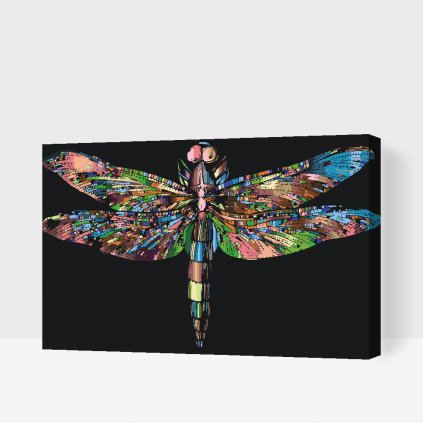 Paint by Number - Colorful Dragonfly