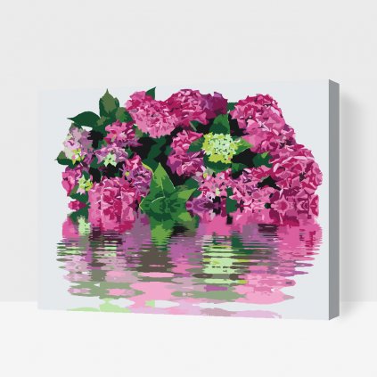 Paint by Number - Hydrangea by the Water