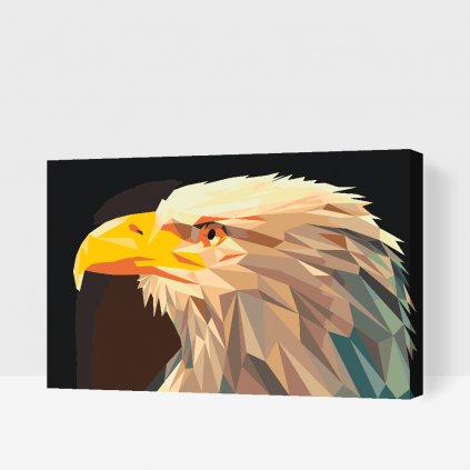 Paint by Number - Eagle with a Yellow Beak