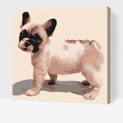 Paint by Number - French Bulldog