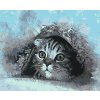Paint by Number - Hidden Kitten