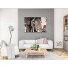 Paint by Number - Elephant in Gray