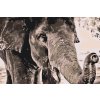 Paint by Number - Elephant in Gray