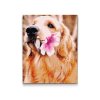 Diamond Painting - Labrador with Flower