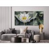Paint by Number - Lotus Flower, Symbol of Wisdom (set of 3)