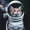 Paint by Number - I want to be an Astronaut