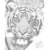 Dotting points - Tiger Head 2