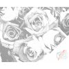 Dotting points - Fragrant roses