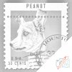 Dotting points - Dog Stamp