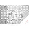 Dotting points - Vector Cat 