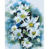 Paint by Number - Autumn Flower, White Aster