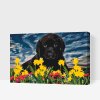 Paint by Number - Labrador Puppy