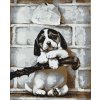 Paint by Number - 4 Week Old Puppy