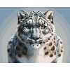 M11_Painting_by_Numbers_-_Leopard