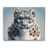 M2_Painting_by_Numbers_-_Leopard