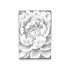 M2_Dotting_Points_-_Peony_flower