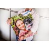 Paint by Numbers - Recreate your Photographs!