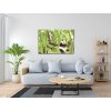 Paint by Number - Panda in the Rainforest