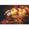 Paint by Number - Fruits from Garden